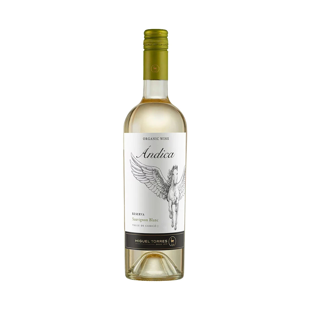 Vino Blanco Andica Miguel Torres Sauvignon Blanc 750 ml