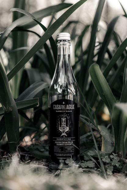 Agua de Lluvia Gasificada Casa del Agua 355 Ml