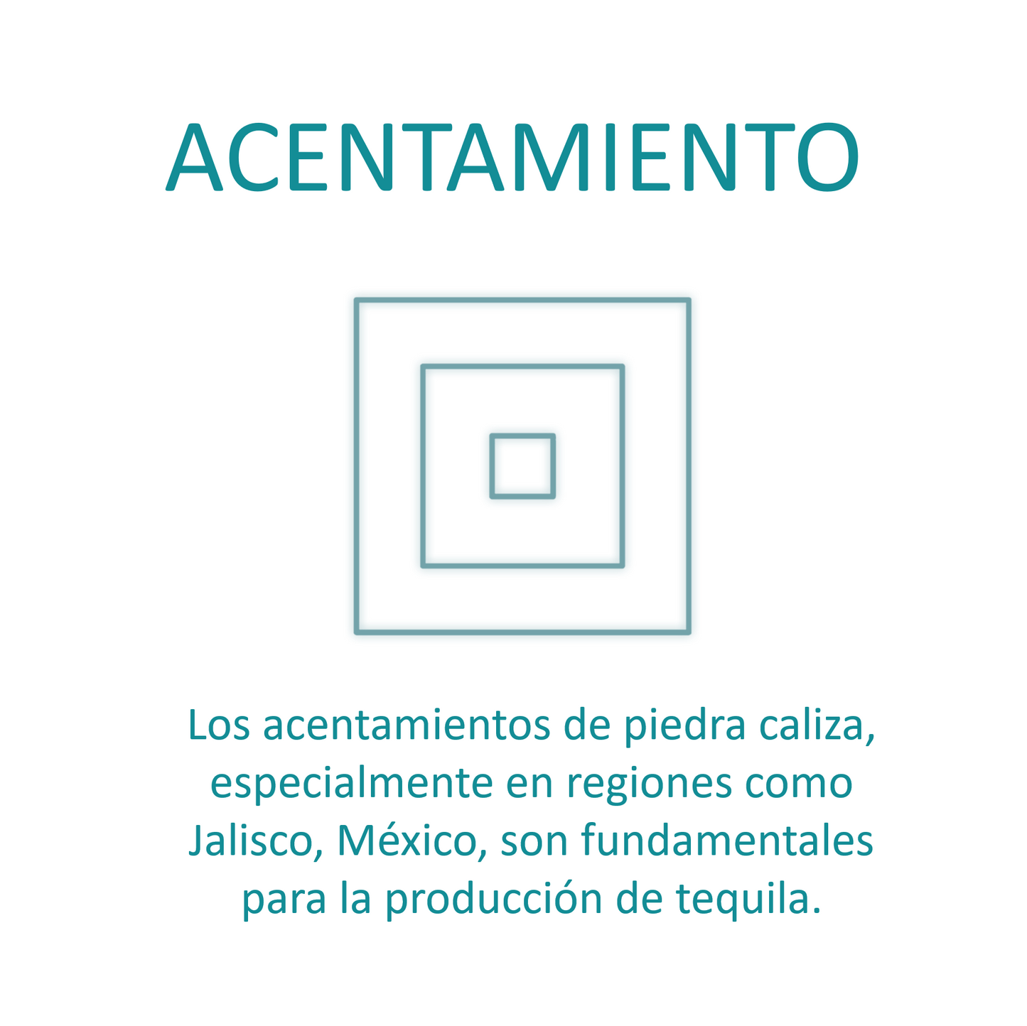 Tequila Camino Blanco 750 Ml