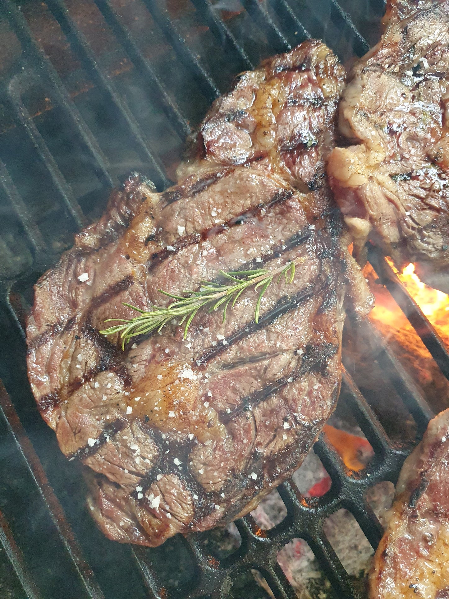 Ribeye
