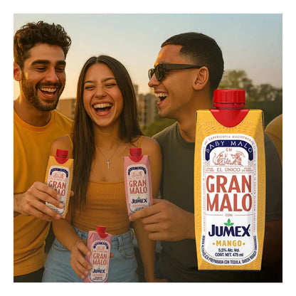 Pack 12 Bebida Baby Malo Mango 475 ml