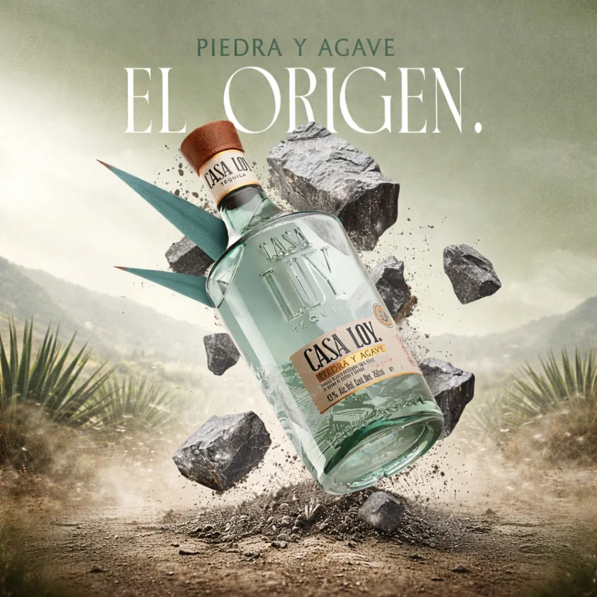 Tequila Casa Loy Piedra y Agave 750 Ml