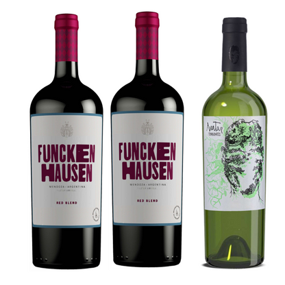 2 Vino Tinto FunckenHausen 1000 ml + 1 Avatar Torrontés