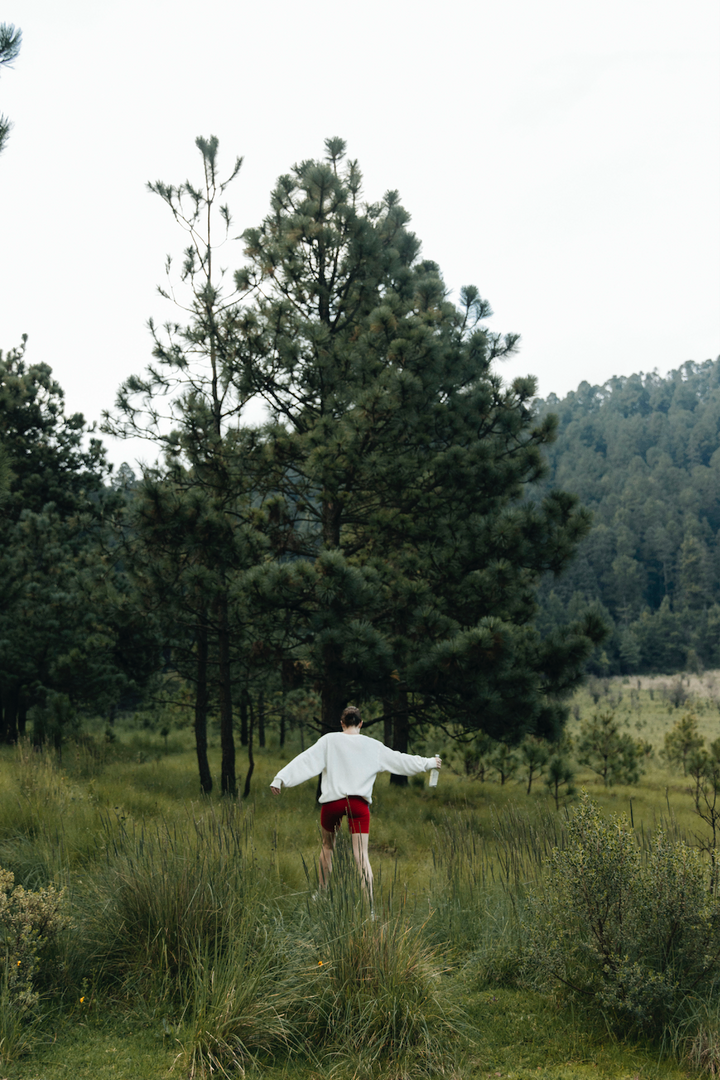 Agua de Lluvia Gasificada Casa del Agua 355 Ml